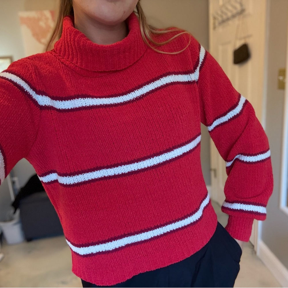 wild fable Red Striped Turtleneck Sweater